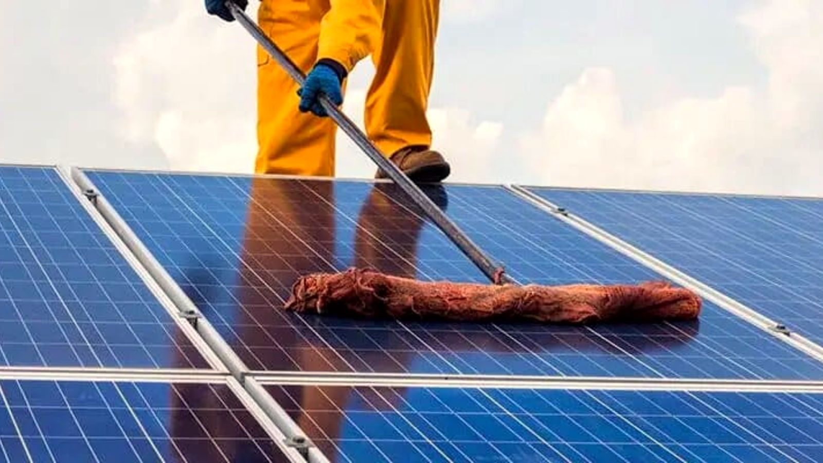 Panel cleaning and maintenance